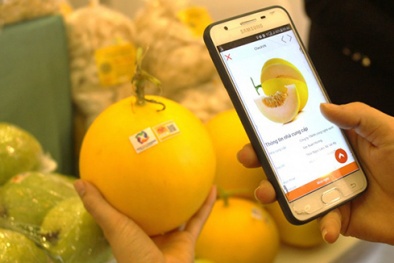 Tiêu chí đánh giá hệ thống truy xuất nguồn gốc đối với thực phẩm