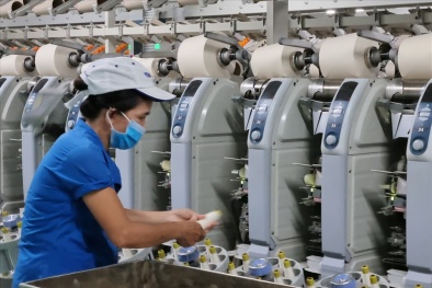 Quảng Ngãi: Năm 2025, ít nhất 10 DN xây dựng mô hình điểm về phong trào năng suất chất lượng