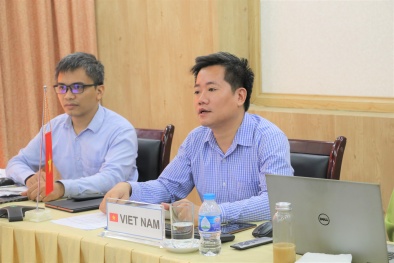 Giải pháp hoàn thiện hệ thống tiêu chuẩn phát triển sản phẩm từ dừa tại Việt Nam