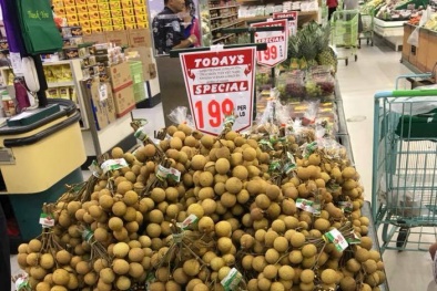 Quả nhãn - Tiềm năng xuất khẩu sang thị trường Nhật Bản