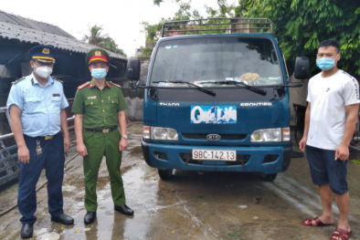 Nguy cơ từ lợn mắc bệnh dịch tả châu Phi