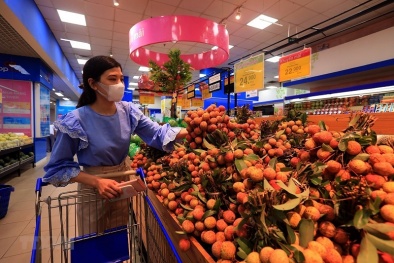 Hành trình vải thiều Việt Nam chinh phục người tiêu dùng ‘đảo quốc sư tử’