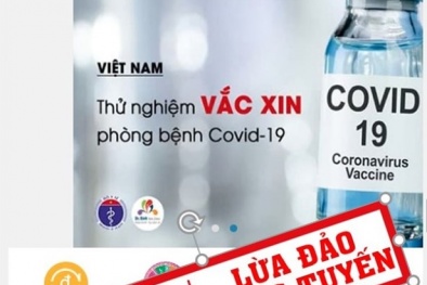 Lợi dụng dịch COVID-19, hình thức lừa đảo trên không gian mạng gia tăng