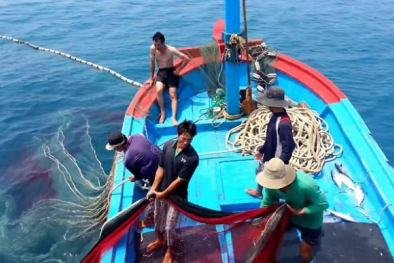 Những việc cần làm để đến năm 2022 Việt Nam gỡ 'Thẻ vàng' của EC