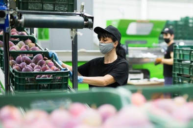 Tăng trưởng kinh tế toàn cầu trong năm 2021 dự báo đạt mức 6%