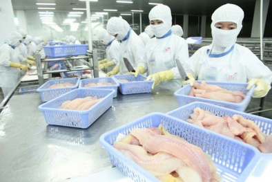 Xuất khẩu thủy sản sang EU ngày càng tận dụng tốt lợi thế từ EVFTA