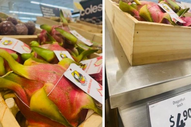 Thị trường Úc tiếp tục có nhu cầu nhập khẩu thanh long Việt Nam