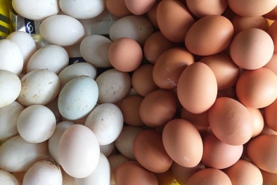 Hà Nội: Trứng gà 'cháy hàng', nhiều nơi tăng giá mạnh