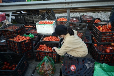 Tạo điều kiện cho khâu lưu thông, tránh đứt gãy chuỗi cung ứng nông sản