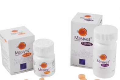 Tiềm năng chống lại Covid-19 từ một loại thuốc điều trị ung thư cho chó