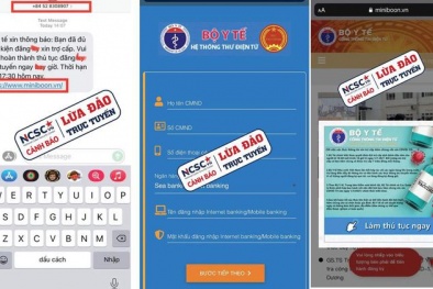 Cảnh báo lừa đảo, giả mạo chiếm đoạt tài sản giữa mùa dịch Covid-19