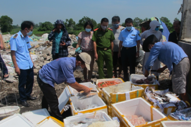 Nam Định: Tiêu hủy nửa tấn thực phẩm tươi sống không rõ nguồn gốc