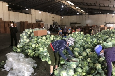 Bộ Nông nghiệp thành lập tổ công tác bảo đảm cung ứng nông sản cho miền Bắc