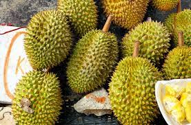 Sầu riêng rớt giá kỷ lục, Đắk Lắk khẩn trương xây dựng kế hoạch tiêu thụ