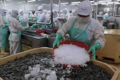 Tháo gỡ khó khăn cho chuỗi cung ứng tiêu thụ thủy sản