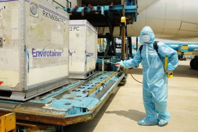 Thông quan nhanh các lô hàng viện trợ phục vụ phòng, chống dịch Covid-19