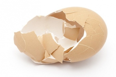 Biến vỏ trứng thành vật liệu để sản xuất xương nhân tạo