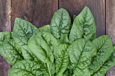 Tác hại khó lường nếu ăn quá nhiều rau chân vịt