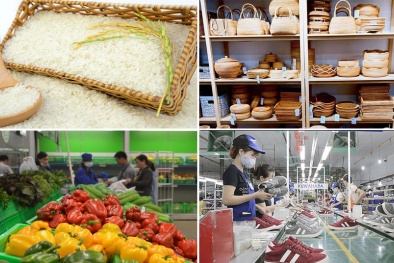 Nhiều ngành hàng hưởng lợi từ EVFTA sau 1 năm thực thi