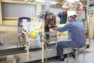 Sửa đổi quy chuẩn kỹ thuật quốc gia về thức ăn chăn nuôi