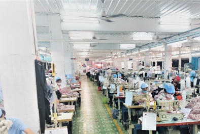 BHXH Việt Nam đẩy mạnh ứng dụng công nghệ thông tin phục vụ người lao động và doanh nghiệp 