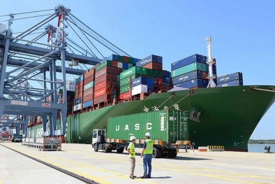 Đề nghị giảm phí lưu container, lưu kho cho hàng hóa ở cảng biển