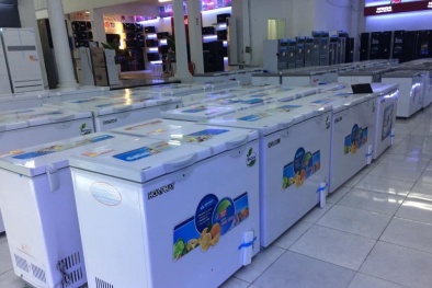 Dịch Covid-19, thị trường tủ trữ đông 'lên ngôi'