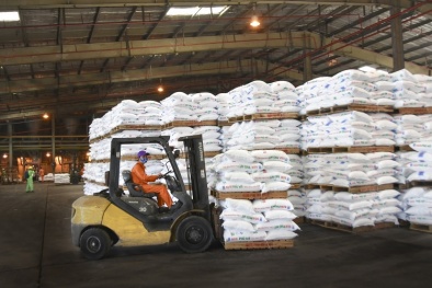 Bình ổn giá phân bón: Ưu tiên dành cho sản xuất nông nghiệp trong nước, dừng xuất khẩu