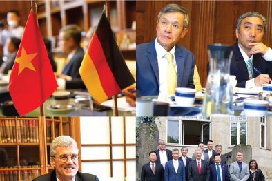 Đức hợp tác với Việt Nam nghiên cứu phát triển sản xuất điện gió ngoài khơi 