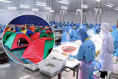 Cần linh hoạt hơn với phương án duy trì sản xuất ‘3 tại chỗ’ 