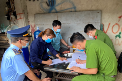 Một tấn lợn thịt nhiễm dịch tả châu Phi vẫn vận chuyển đi tiêu thụ, những nguy cơ tiềm ẩn