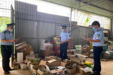 500 sản phẩm thuốc bảo vệ thực vật dù hết hạn vẫn trên kệ chờ tiêu thụ