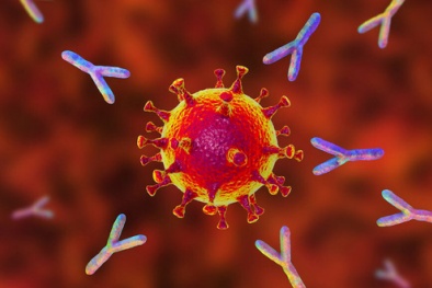 Sử dụng kháng thể đơn dòng điều trị COVID-19- biện pháp bổ sung hiệu quả