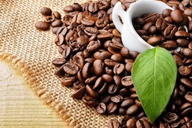 Giá cà phê trong nước tăng trở lại