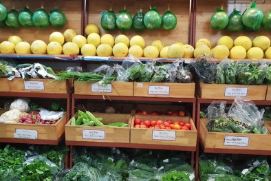 Kỳ vọng về một nền kinh tế xanh 