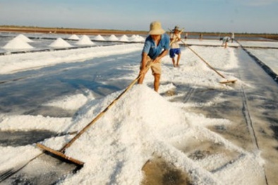 Ban hành Quy chuẩn kỹ thuật quốc gia đối với muối thực phẩm và muối tinh