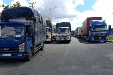 Chính phủ chỉ đạo xóa giấy phép con hành doanh nghiệp, tạo sự thông thoáng