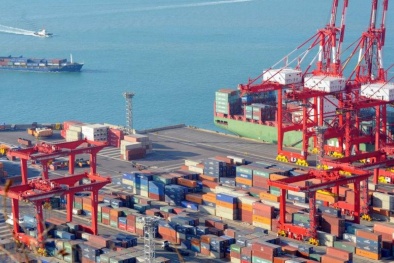 Tăng cường quản lý xuất nhập khẩu một số mặt hàng chiến lược 