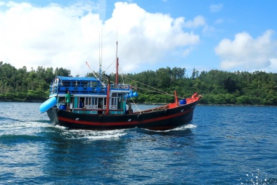 Ban hành Quy chuẩn kỹ thuật quốc gia về phân cấp và đóng tàu cá