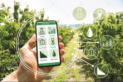 Chuyển đổi số ngành nông nghiệp: Để đoàn tàu không lỡ nhịp!
