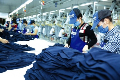 Cần có những chính sách dài hơi để vực dậy doanh nghiệp