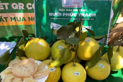Đặc sản na Chi Lăng, bưởi Phúc Trạch chính thức lên sàn thương mại điện tử