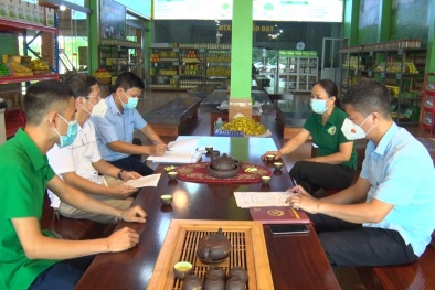 Đánh giá tổ chức, doanh nghiệp tham dự Giải thưởng Chất lượng Quốc gia năm 2021