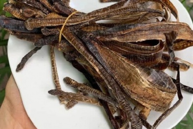 Bộ Y tế chưa cấp phép cho sản phẩm có thành phần Địa long hỗ trợ điều trị Covid-19