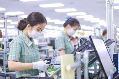 Đẩy nhanh tốc độ cải thiện môi trường kinh doanh, thúc đẩy phát triển kinh tế