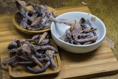 Lan truyền tin giun đất chữa khỏi Covid-19 sẽ bị xử lý nghiêm