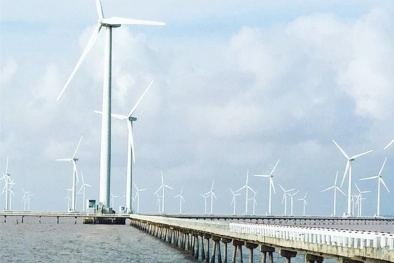 Petrovietnam triển khai các dự án điện gió ngoài khơi tạo tiền đề phát triển năng lượng Hydro