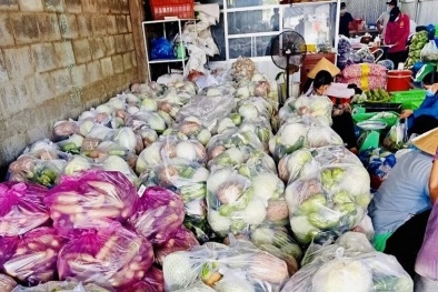 Combo nông sản từ bình dân đến cao cấp cung ứng tới người dân TP.HCM