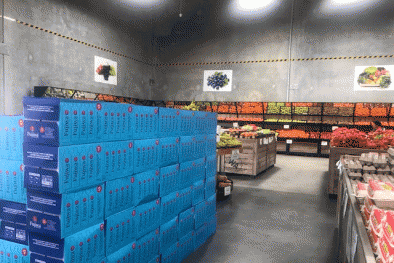 Người tiêu dùng Australia ngày càng ưa chuộng đồ uống không cồn Việt Nam