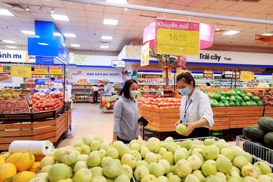 Kết nối cung cầu, đảm bảo phân phối hàng hoá giữa các vùng miền
